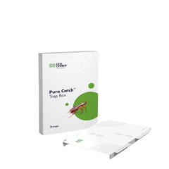 Set 6 capacane pentru gandaci de casa Pure Catch trap