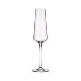 Hectarul - Set de 6 pahare pentru sampanie, transparent, din cristal de Bohemia, 160 ml, Winestar