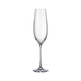 Hectarul - Set de 6 pahare pentru sampanie, transparent, din cristal de Bohemia, 260 ml, Verona Flute