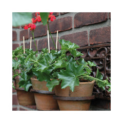 Suport pentru 3 ghivece ruginiu din otel turnat Classic Esschert Design