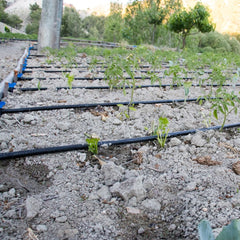Tub Picurare Cilindric 16mm – 400ml/h, Irigare Grădină și Solar | Hectarul.ro