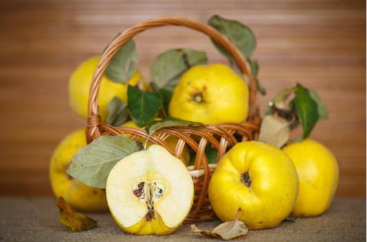 Tratamente si Nutritie pentru Pomi Fructiferi cu Fructe la Jumatatea Dimensiunii Normale in Perioada de Crestere Activa