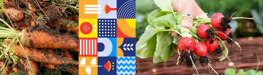 Ce legume plantam in luna aprilie?