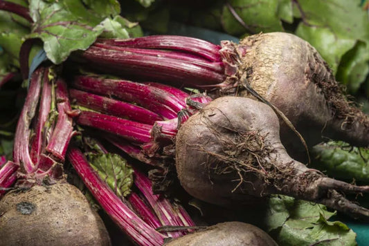 Cand se recolteaza sfecla rosie - informatii utile de la plantare pana la consum + sfaturi si recomandari practice