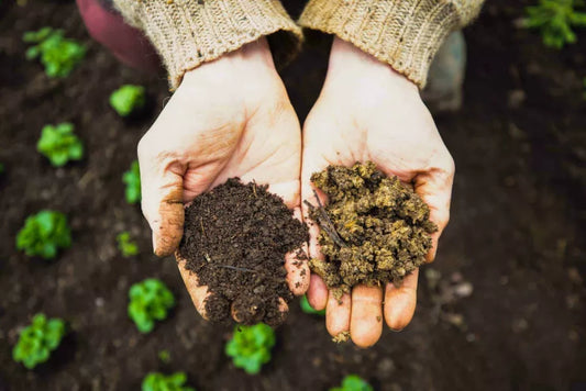 Agricultura biodinamica: imbratisarea ciclurilor naturii, armonie si sustenabilitate