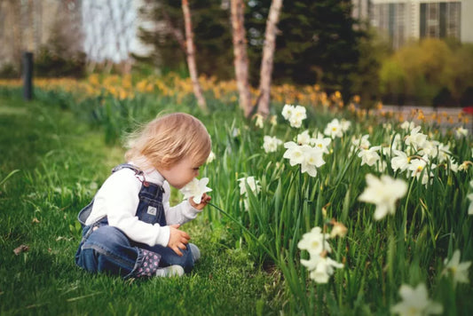 Tipuri de flori de gradina usor de intretinut - conditii optime de dezvoltare si sfaturi pentru floricultori
