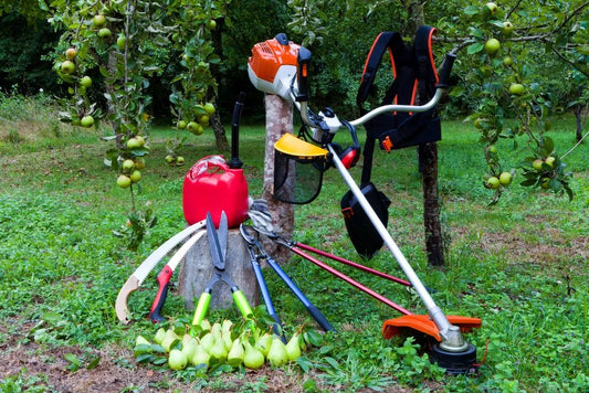 Masini si aparate de care ai nevoie pentru o gradina perfecta