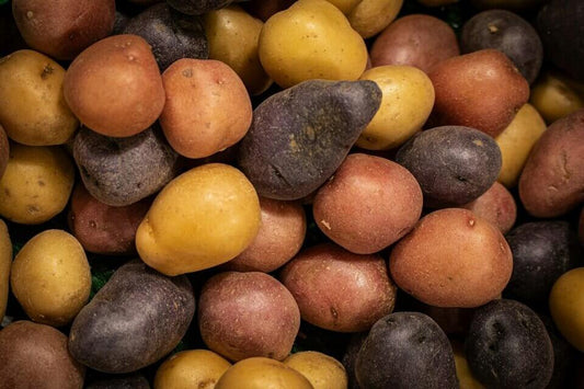 Care sunt cele mai comune boli ale cartofului și cum pot fi combătute?