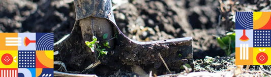 Ce semanam si plantam in martie?