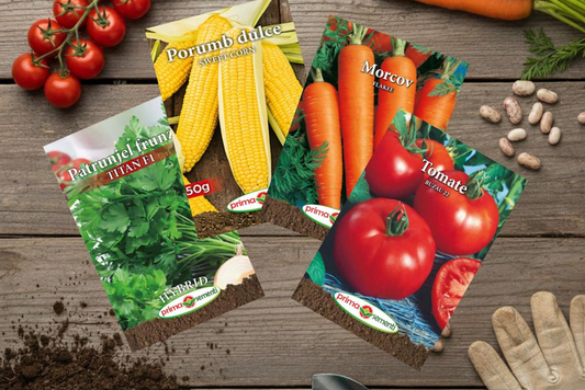 Grădinărit la nivel premium: De ce să alegi semințele Prima Sementi pentru recolte spectaculoase?