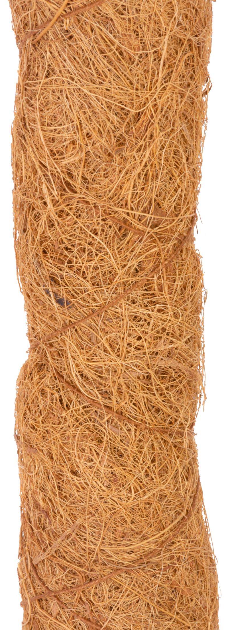 Arac spiralat pentru plante Garden COCO, 4,5x060 cm, 3, hectarul.ro