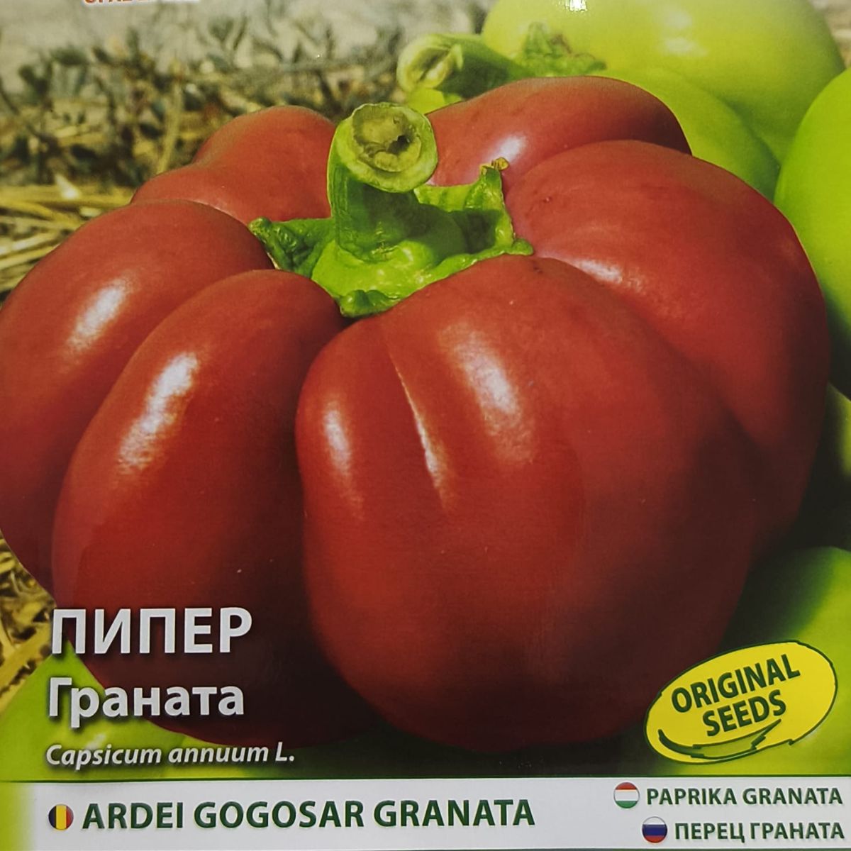 Seminte ardei gogosar Granata - 10 grame OPAL, 2, hectarul.ro