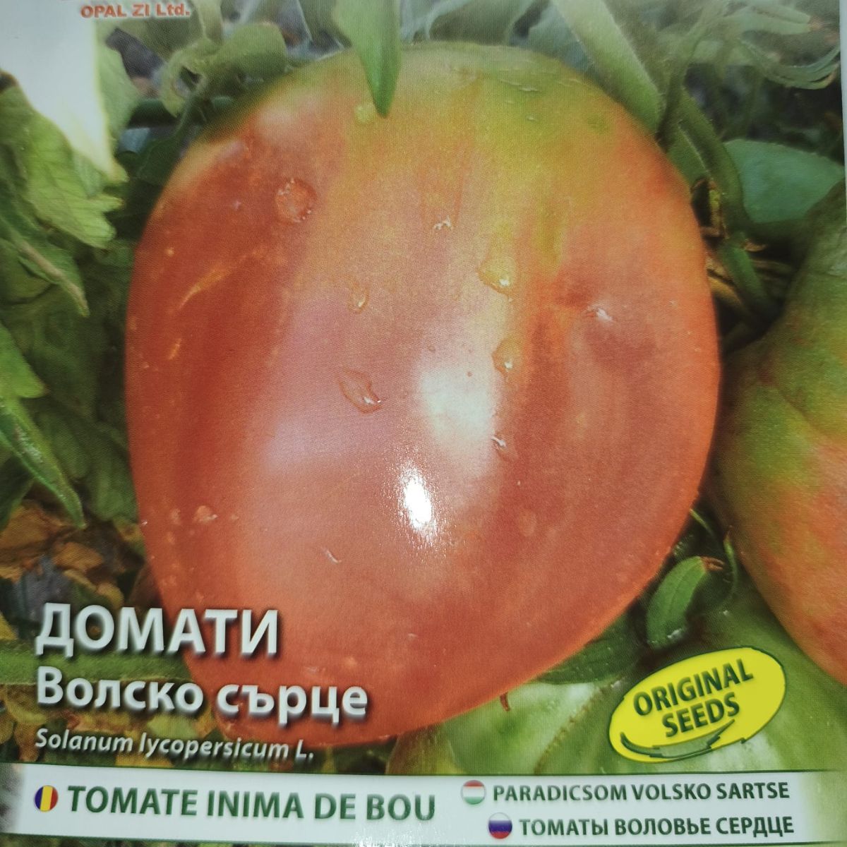 Seminte de tomate volsko sartse, oxheart 0,2 gr OPAL, 2, hectarul.ro
