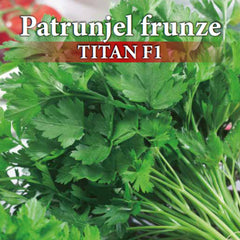 Seminte de patrunjel profesionale TITAN F1, 1,5 grame, Prima Sementi