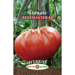 Seminte de tomate profesionale BEEFMASTER F1, 0,3 grame, Prima Sementi