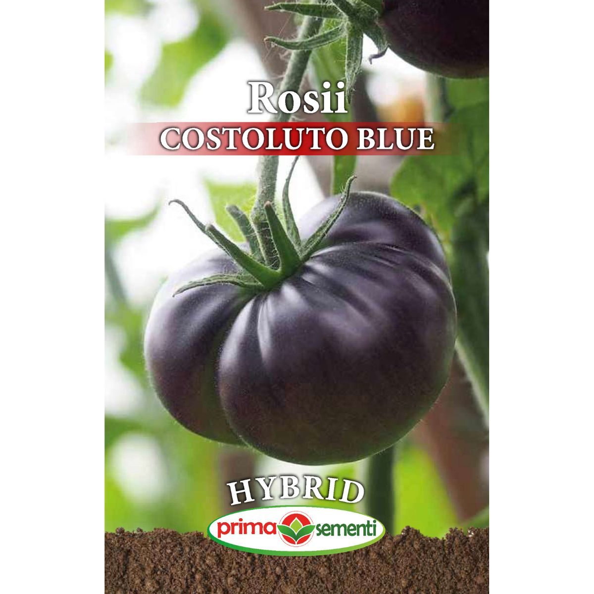 Seminte de tomate profesionale COSTOLUTO BLUE F1, 0,1 grame, Prima Sementi