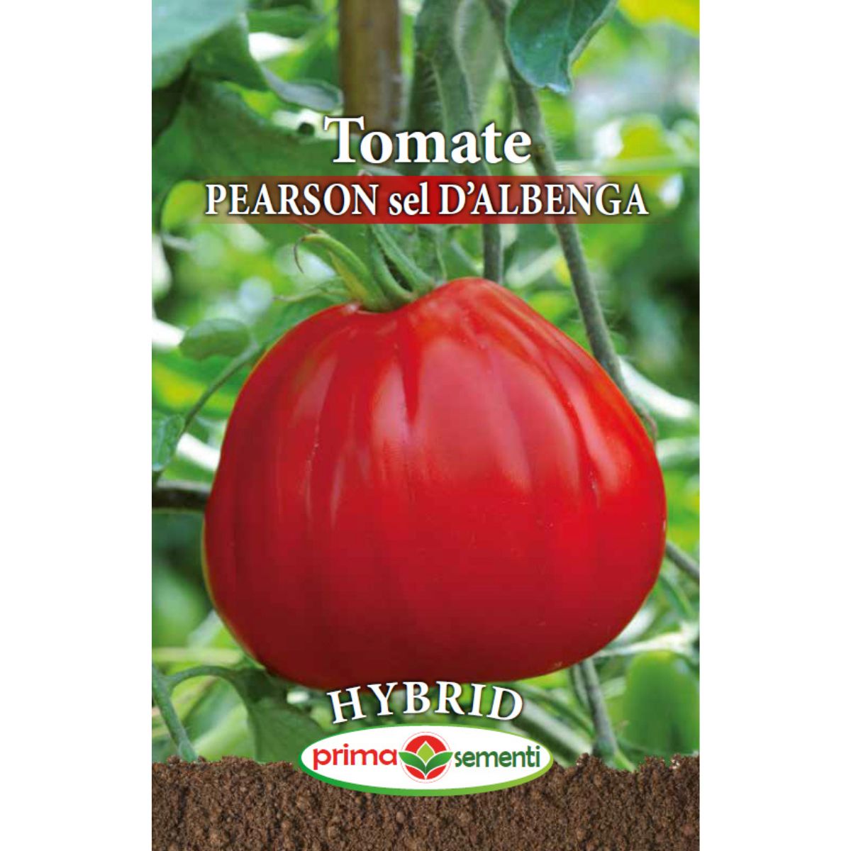 Seminte de tomate profesionale PEARSON D'ALBENGA F1, 0,3 grame, Prima Sementi