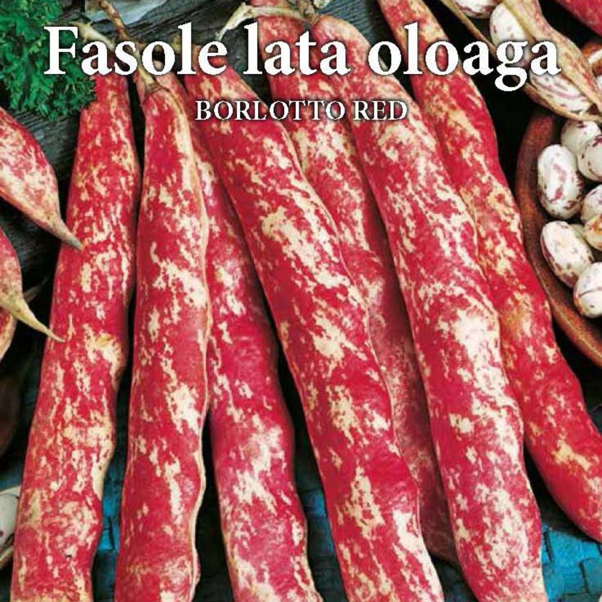 Seminte de fasole oloaga BORLOTTO RED 100 grame, Prima Sementi, 2, hectarul.ro