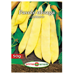 Seminte de fasole oloaga CAPITANO 50 grame, Prima Sementi