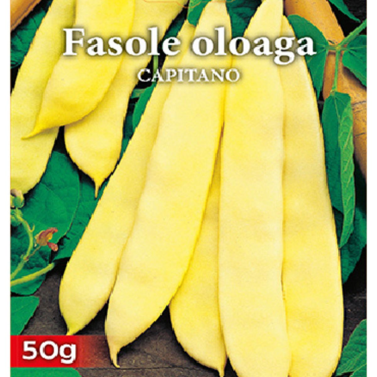 Seminte de fasole oloaga CAPITANO 50 grame, Prima Sementi, 2, hectarul.ro