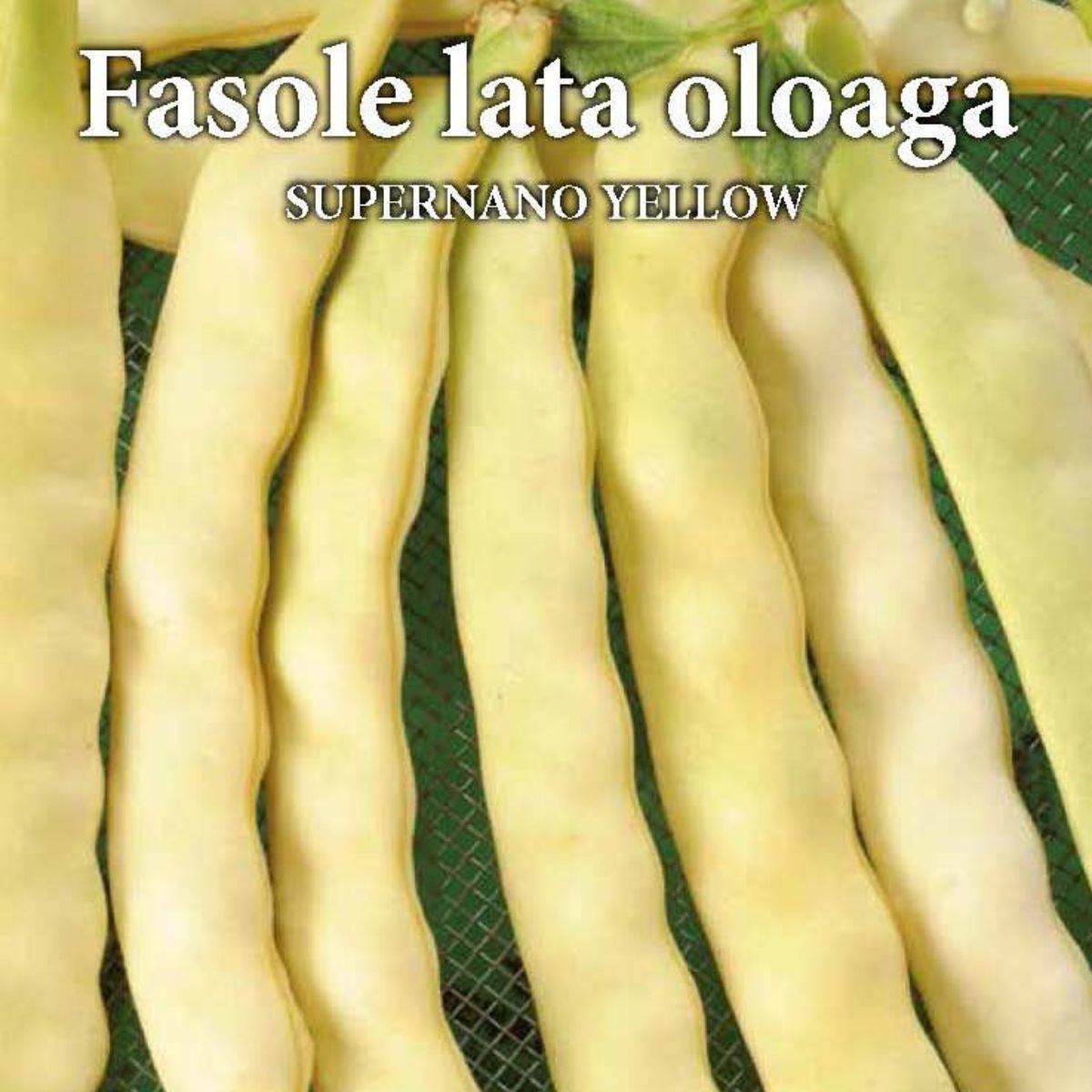 Seminte de fasole oloaga SUPERNANO YELLOW 50 grame, Prima Sementi, 2, hectarul.ro