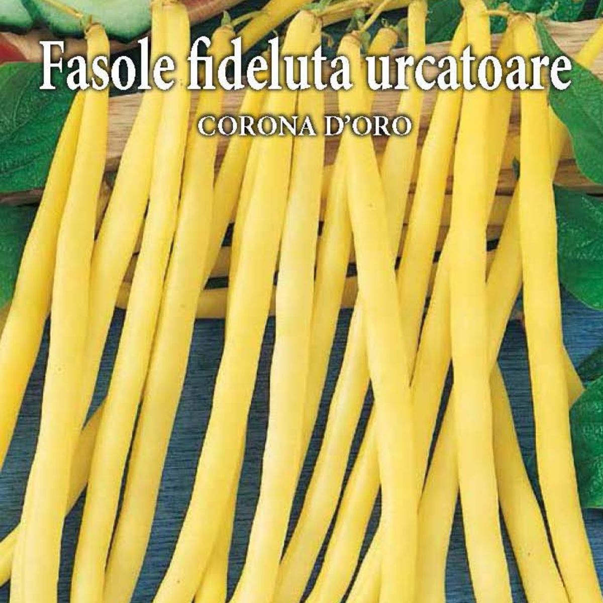 Seminte de fasole urcatoare CORONA D'ORO 70 grame Prima Sementi, 2, hectarul.ro