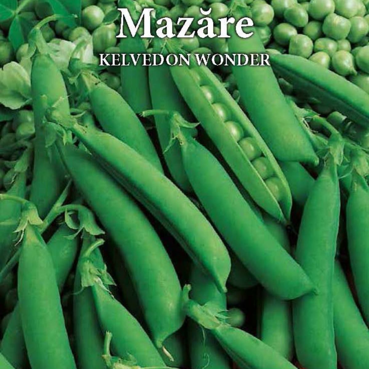 Seminte de mazare KELVEDON WONDER 100 grame Prima Sementi, 2, hectarul.ro