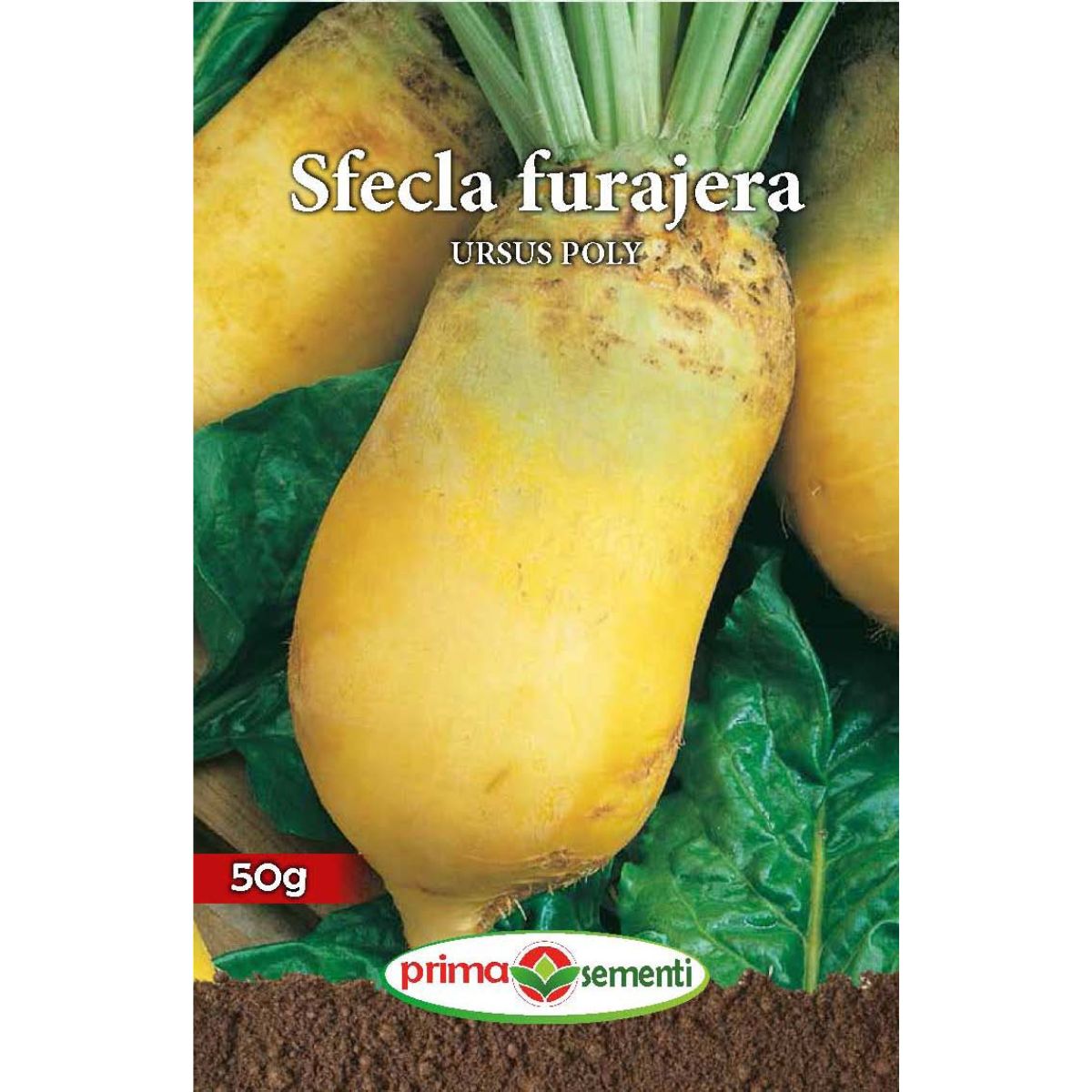 Seminte de sfecla furajera URSUS POLY 50 grame Prima Sementi