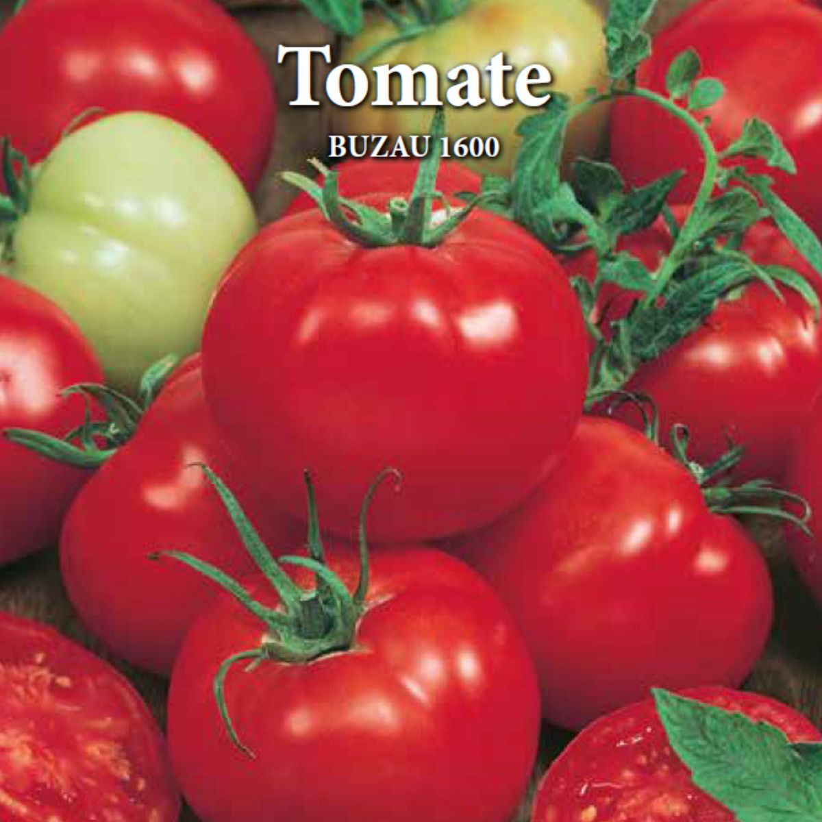 Seminte de tomate BUZAU 1600, 0,2 grame, Prima Sementi, 2, hectarul.ro