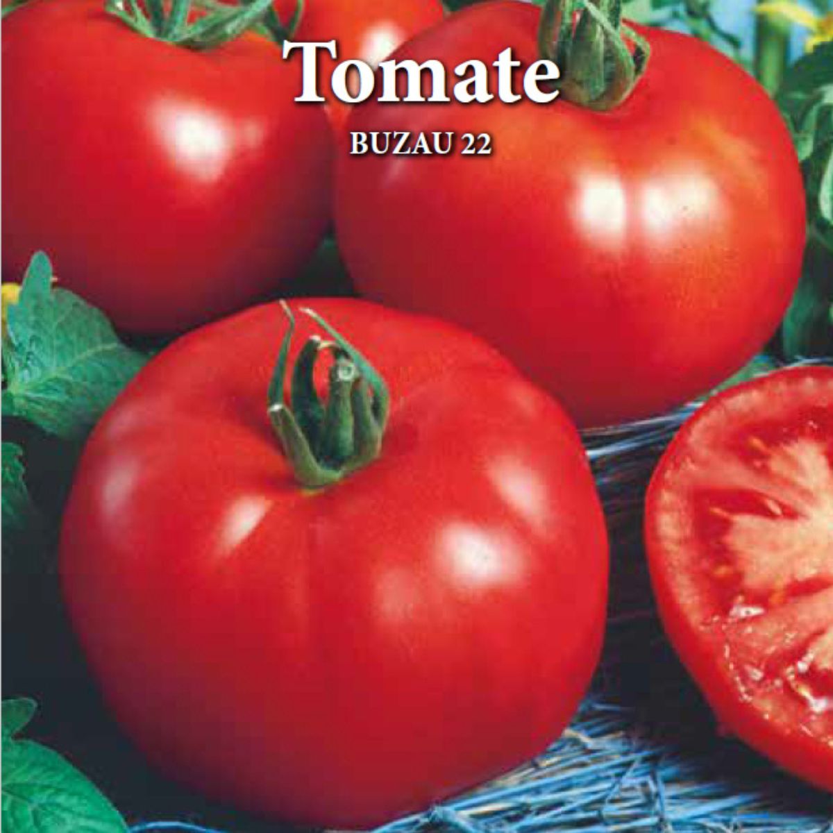 Seminte de tomate BUZAU 22, 0,2 grame, Prima Sementi, 2, hectarul.ro