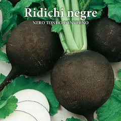 Seminte de ridichi de iarna NERO TONDO D’INVERNO, 6 grame, Prima Sementi