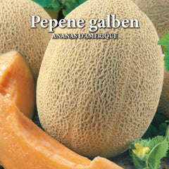 Seminte de pepene galben ANANAS D'AMERIQUE, 2 grame, Prima Sementi