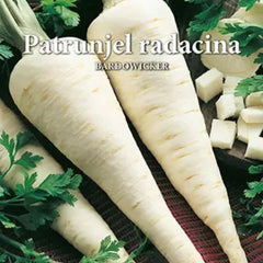 Seminte de patrunjel radacina BARDOWICHER, 5 grame, Prima Sementi