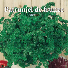 Seminte de patrunjel frunze RICCIO, 5 grame, Prima Sementi