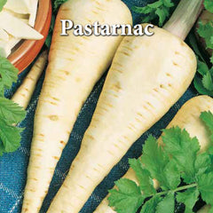 Seminte de pastarnac 4 grame Prima Sementi