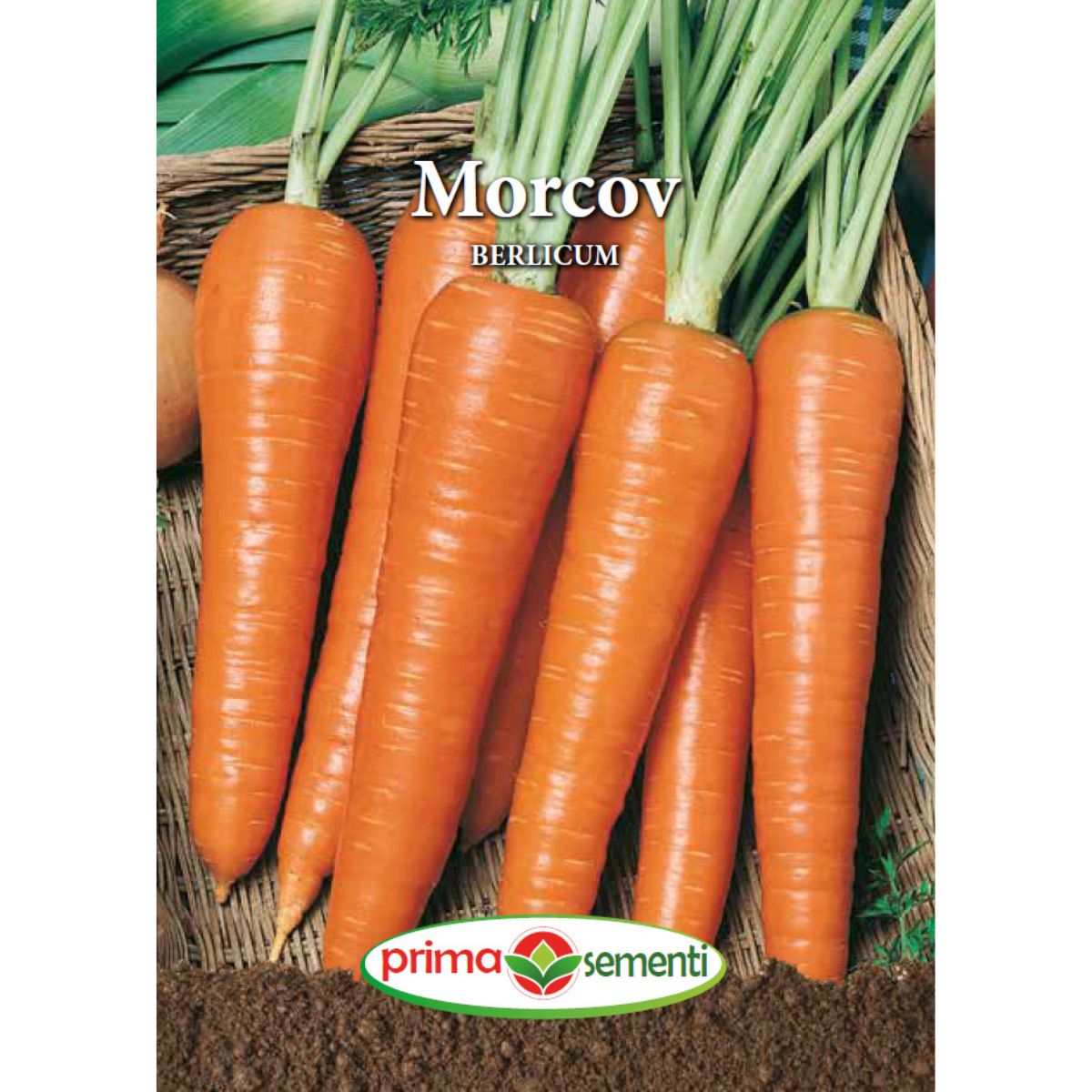 Seminte de morcovi BERLICUM, 5 grame, Prima Sementi