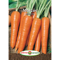 Seminte de morcovi BERLICUM, 5 grame, Prima Sementi