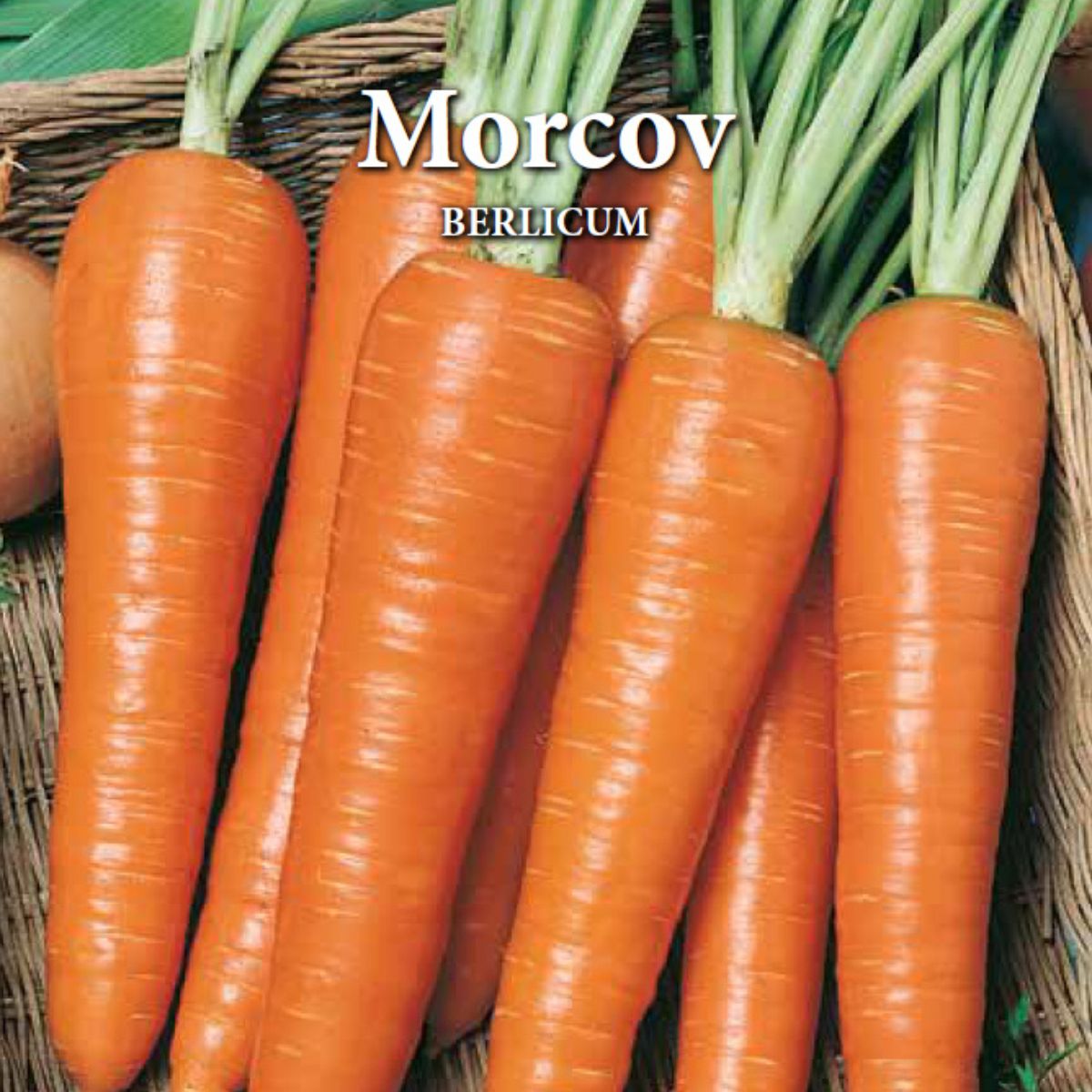 Seminte de morcovi BERLICUM, 5 grame, Prima Sementi, 2, hectarul.ro