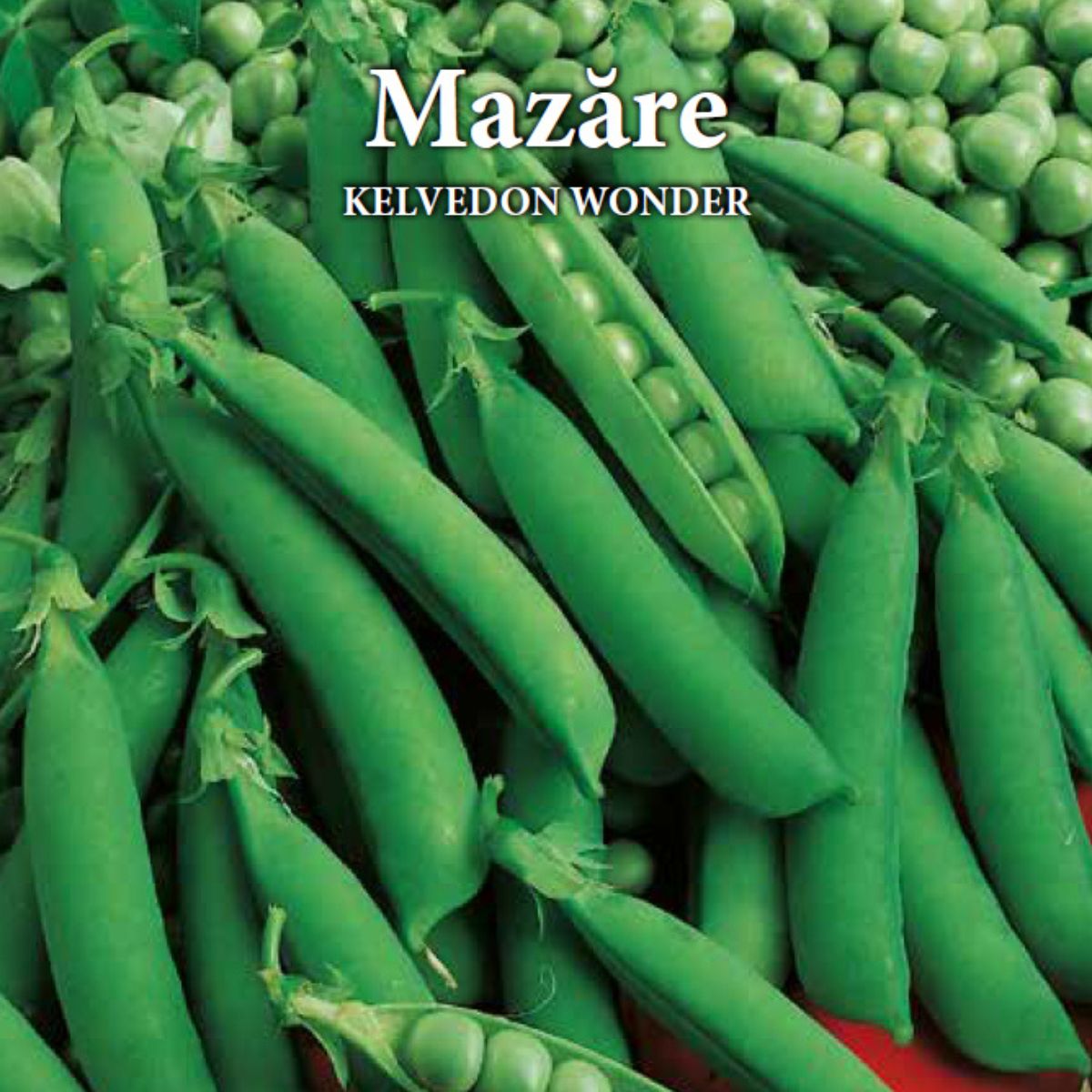 Seminte de mazare KELVEDON WONDER, 20 grame, Prima Sementi, 2, hectarul.ro