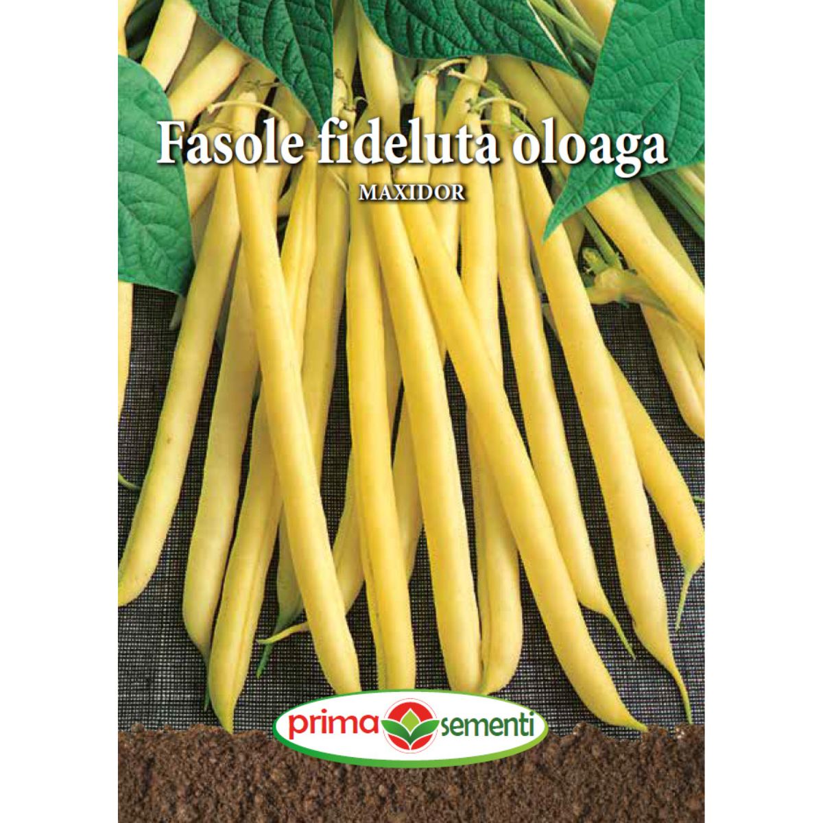 Seminte de fasole oloaga MAXIDOR 15 grame Prima Sementi