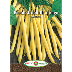 Seminte de fasole oloaga MAXIDOR 15 grame Prima Sementi