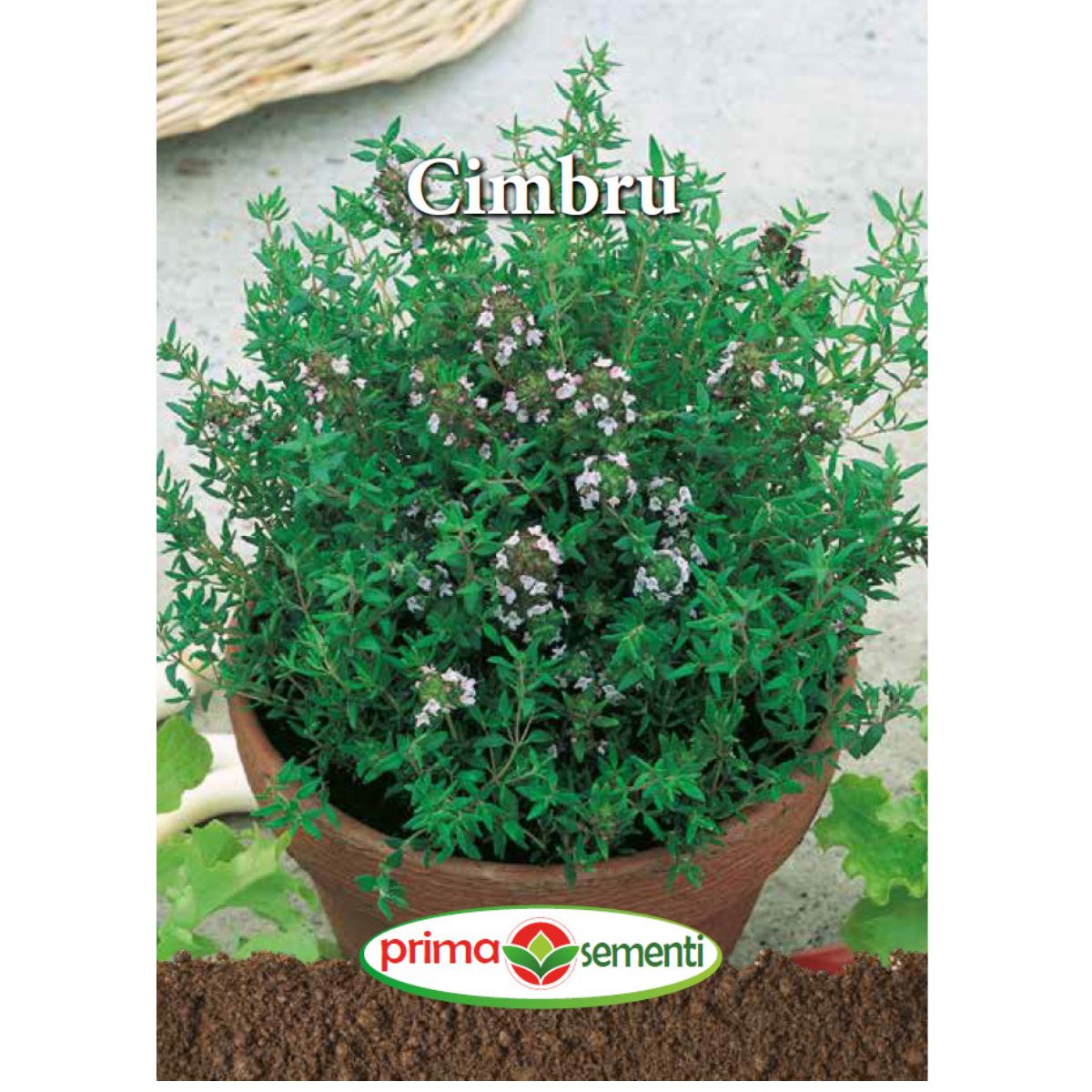 Seminte de cimbru 0,4 grame Prima Sementi