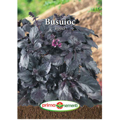 Seminte de busuioc Busuioc ROSSO, 3 grame, Prima Sementi