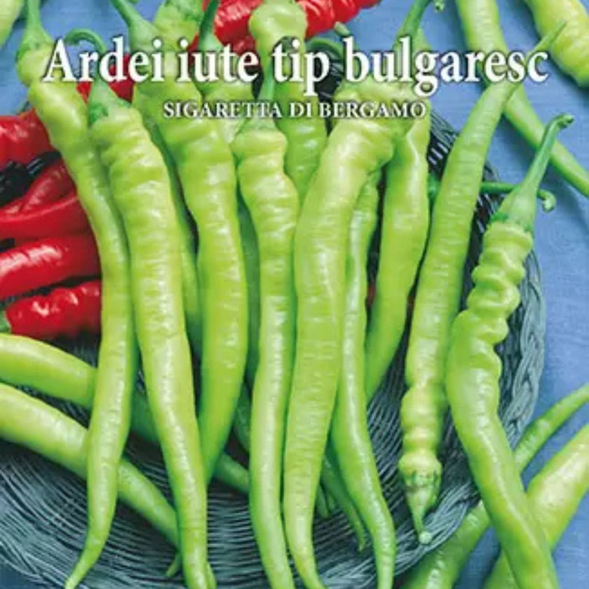 Seminte de ardei iute SIGARETTA DI BERGAMO,  0,5 grame, Prima Sementi, 2, hectarul.ro