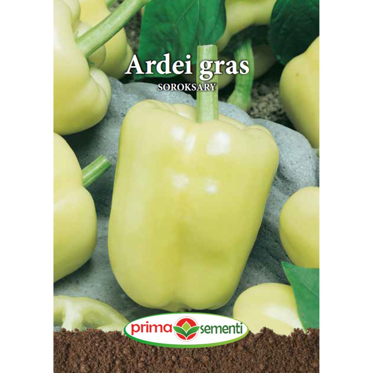 Seminte de ardei gras SOROKSARY, 0,7 grame, Prima Sementi, 1, hectarul.ro