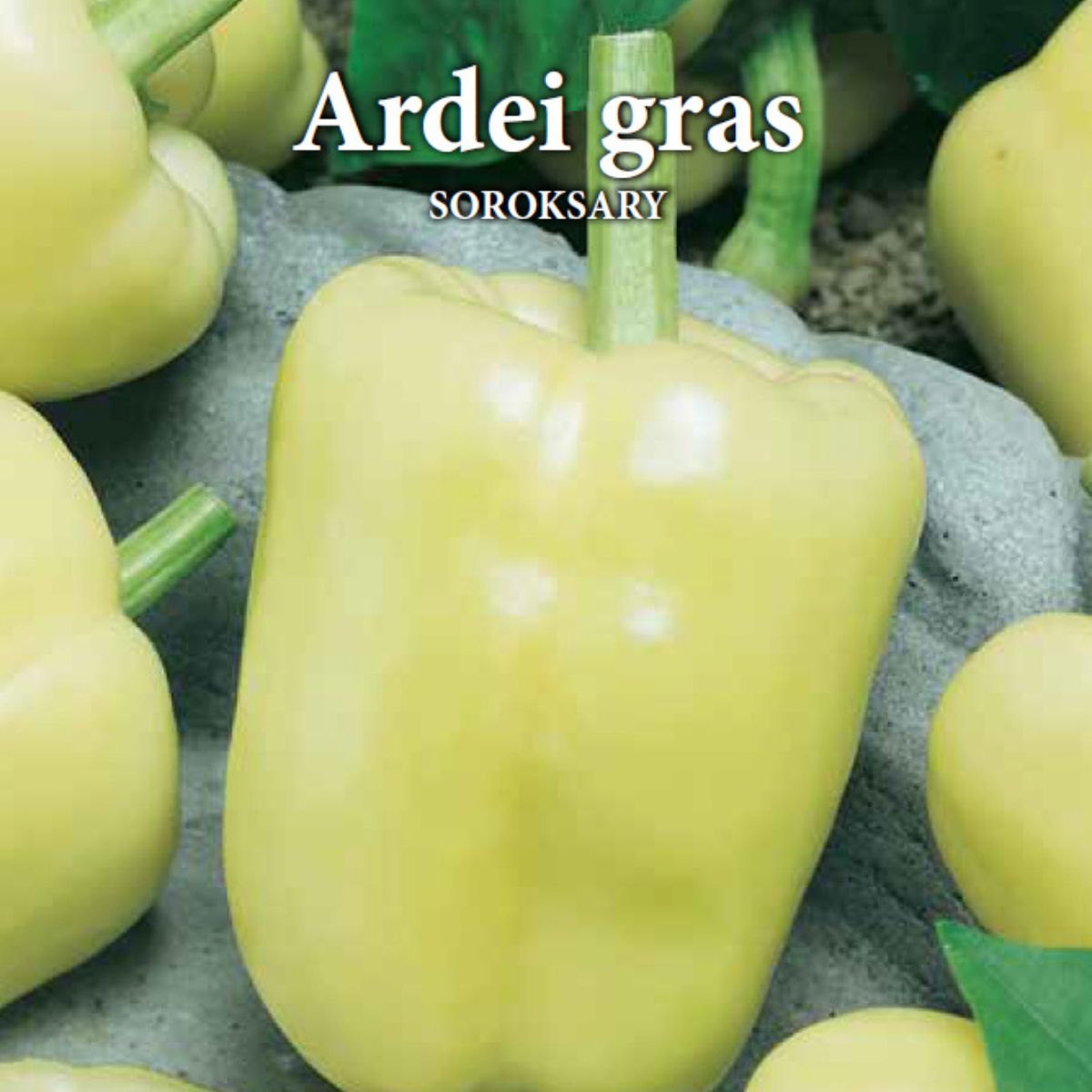 Seminte de ardei gras SOROKSARY, 0,7 grame, Prima Sementi, 2, hectarul.ro