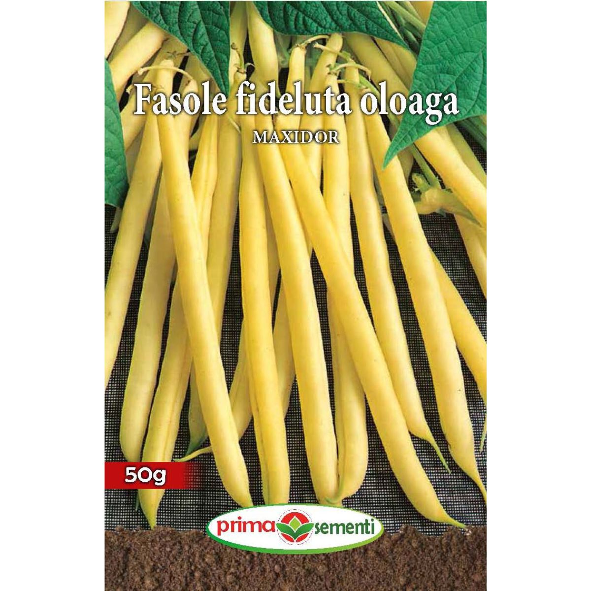 Seminte de fasole oloaga MAXIDOR 50 grame Prima Sementi