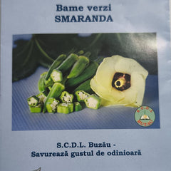 Seminte romanesti de bame verzi SMARANDA, 5 grame, SCDL Buzau