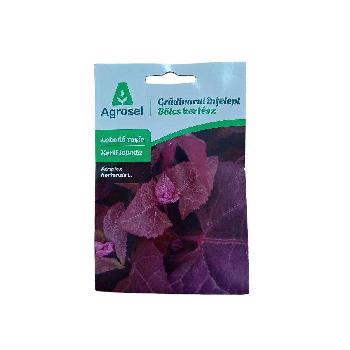 Semințe Lobodă Roșie (Atriplex hortensis) – Agrosel, 1 g, 1, hectarul.ro