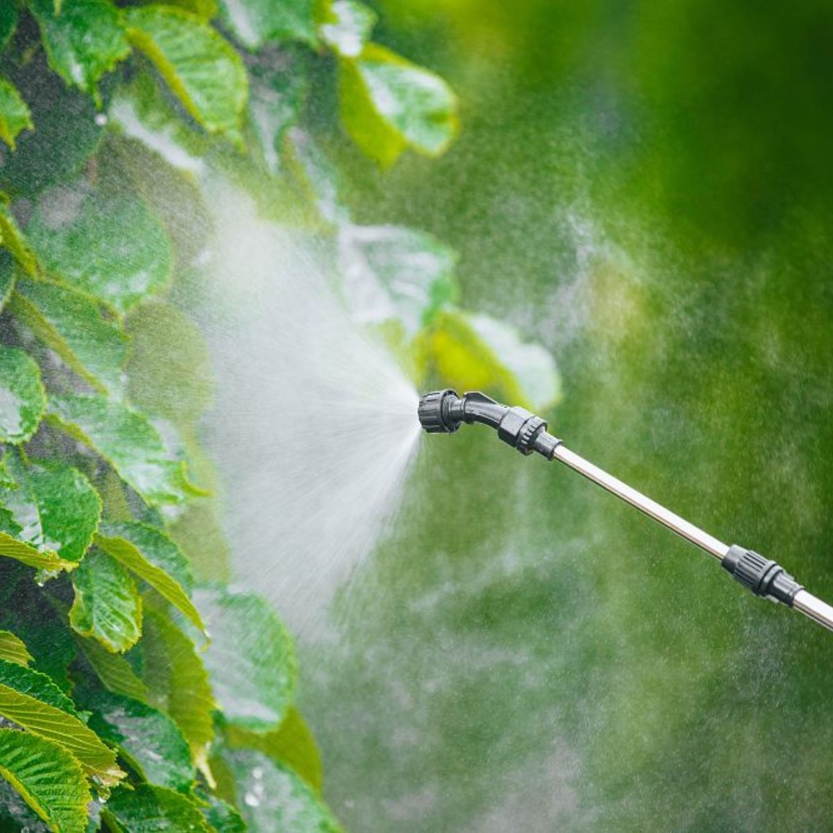 Pulverizator Electric 20L Red Technic, 12V/8Ah, Pompa cu Diafragmă, 4 Duze, 17, hectarul.ro